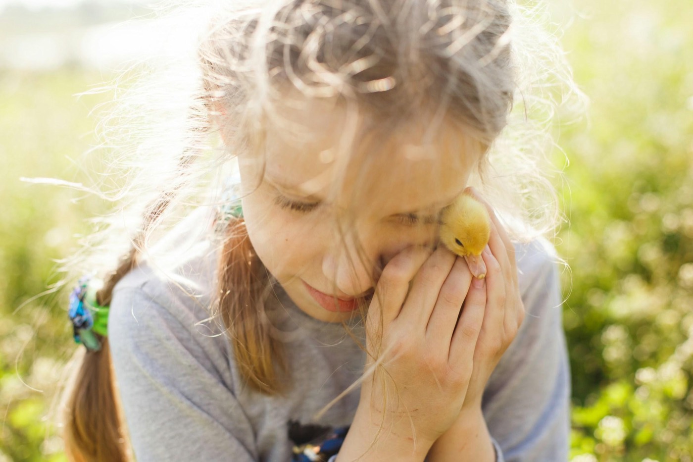 A young girl holding a small chick close to her face